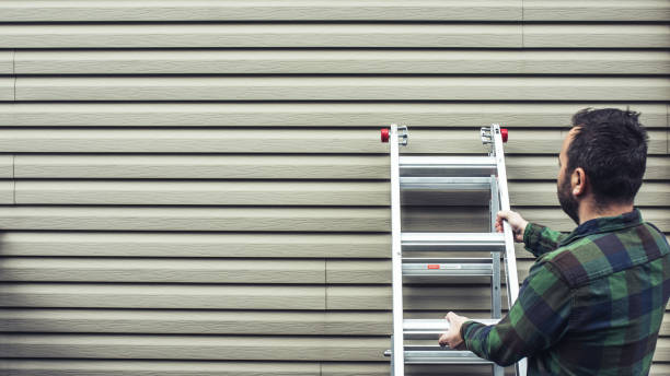 Best Custom Trim and Detailing for Siding  in Dilkon, AZ